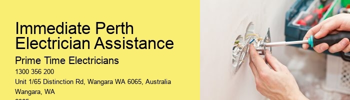 Emergency Electrical Repairs by Perth Professionals